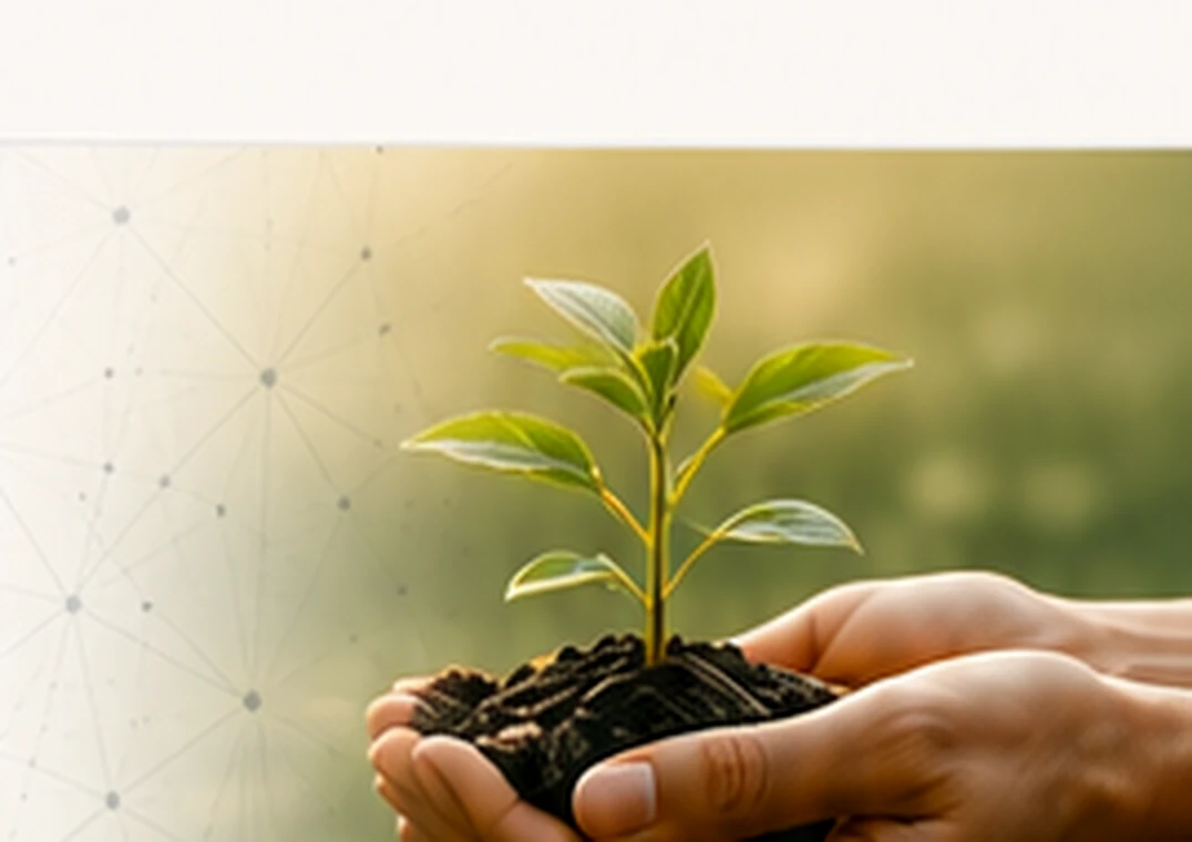Hands holding a young seedling, representing responsible and sustainable growth.